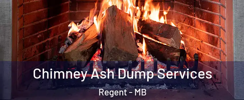  Chimney Ash Dump Services Regent - MB