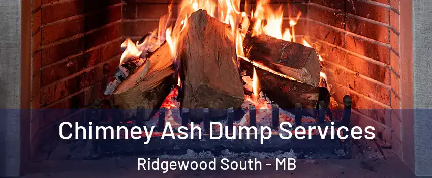  Chimney Ash Dump Services Ridgewood South - MB