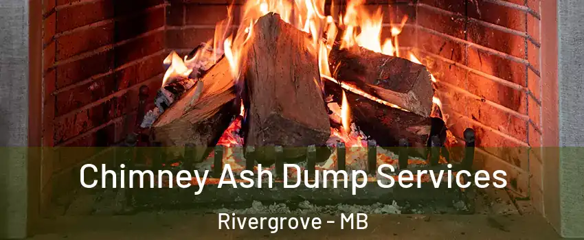  Chimney Ash Dump Services Rivergrove - MB