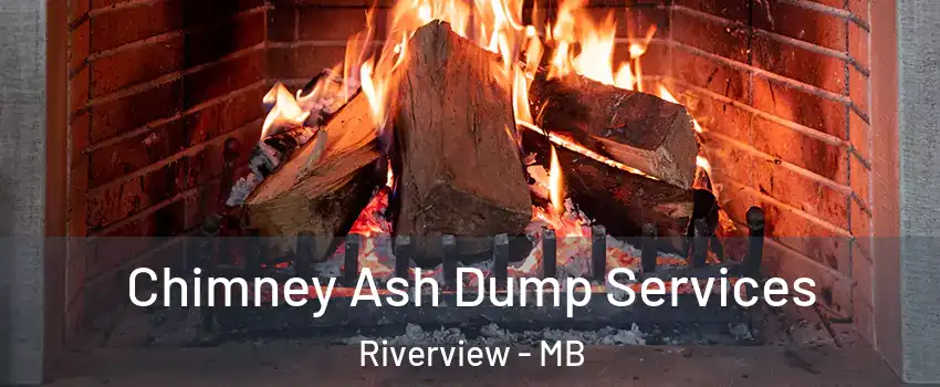  Chimney Ash Dump Services Riverview - MB