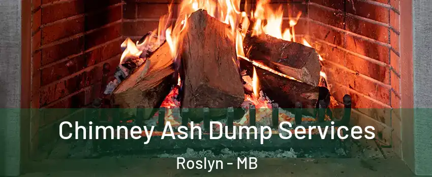  Chimney Ash Dump Services Roslyn - MB
