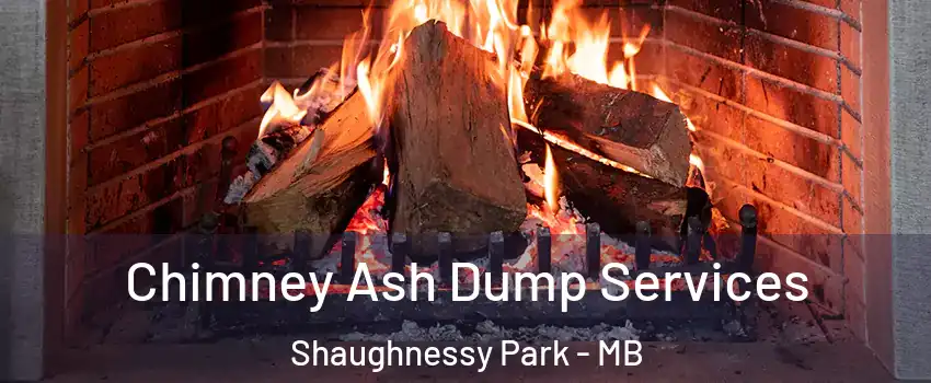  Chimney Ash Dump Services Shaughnessy Park - MB