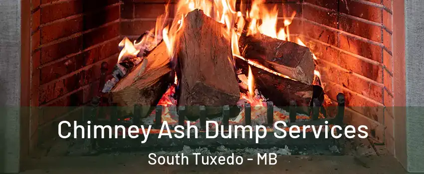  Chimney Ash Dump Services South Tuxedo - MB