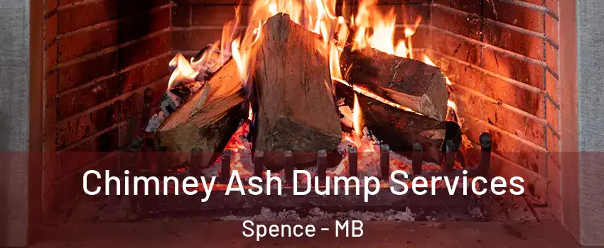  Chimney Ash Dump Services Spence - MB