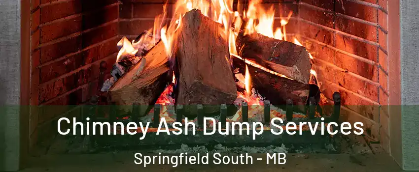  Chimney Ash Dump Services Springfield South - MB