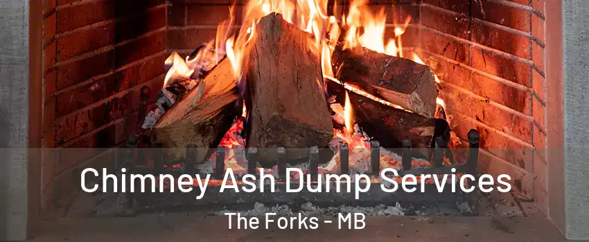  Chimney Ash Dump Services The Forks - MB