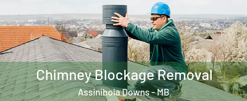  Chimney Blockage Removal Assiniboia Downs - MB