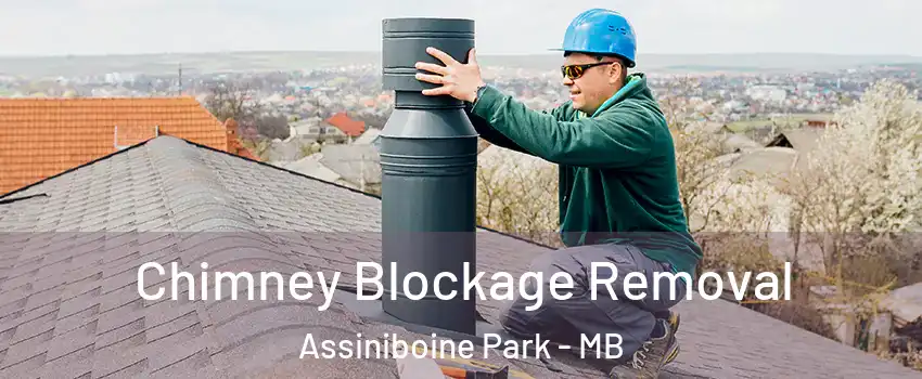  Chimney Blockage Removal Assiniboine Park - MB
