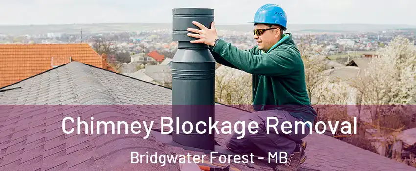  Chimney Blockage Removal Bridgwater Forest - MB