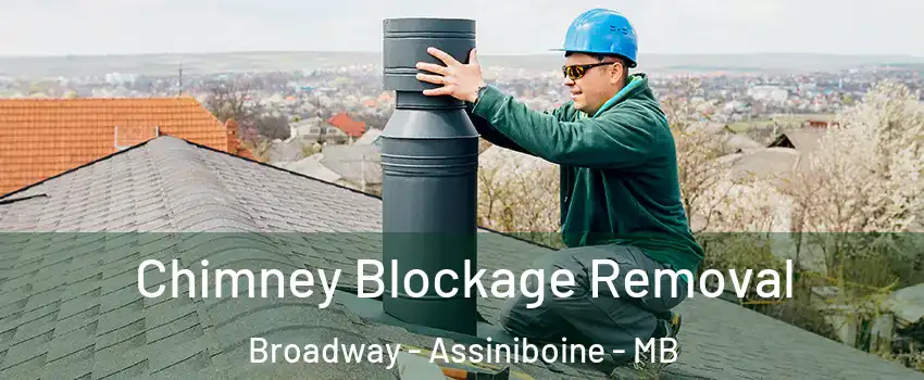  Chimney Blockage Removal Broadway - Assiniboine - MB