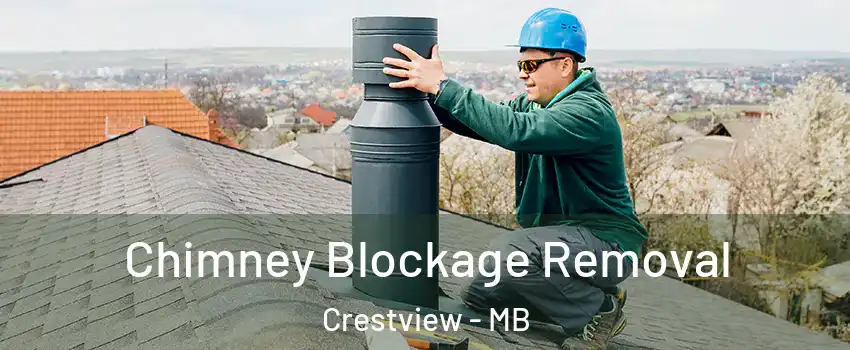  Chimney Blockage Removal Crestview - MB