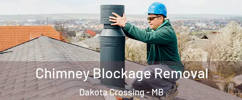  Chimney Blockage Removal Dakota Crossing - MB