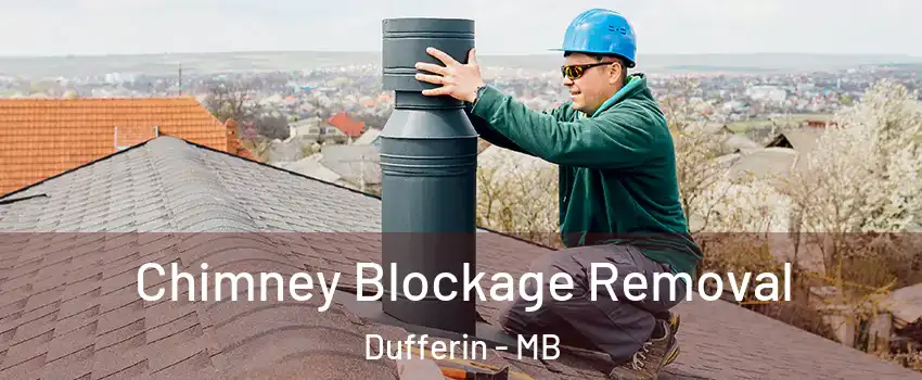  Chimney Blockage Removal Dufferin - MB