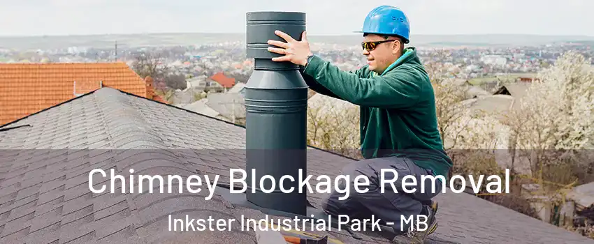  Chimney Blockage Removal Inkster Industrial Park - MB