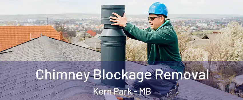  Chimney Blockage Removal Kern Park - MB