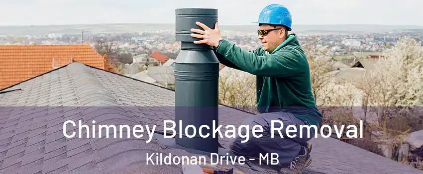  Chimney Blockage Removal Kildonan Drive - MB