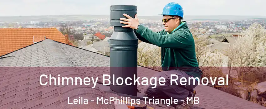  Chimney Blockage Removal Leila - McPhillips Triangle - MB