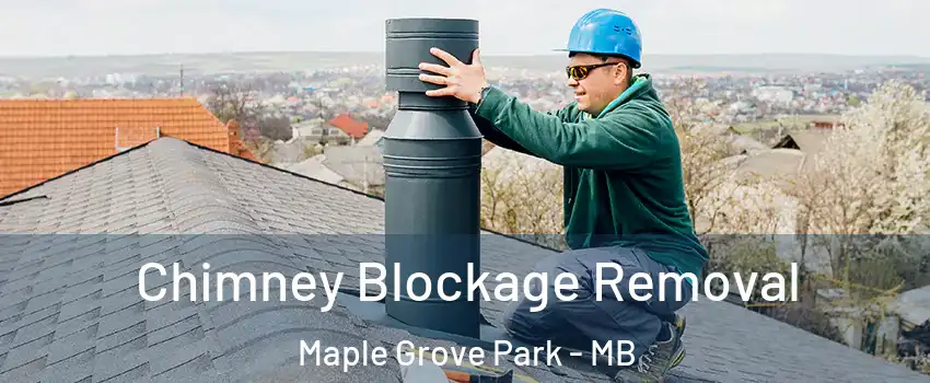  Chimney Blockage Removal Maple Grove Park - MB