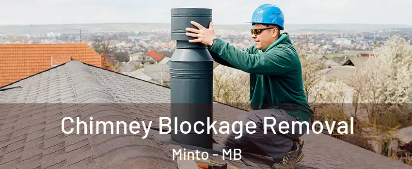  Chimney Blockage Removal Minto - MB