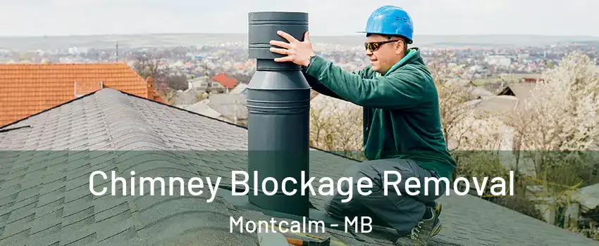  Chimney Blockage Removal Montcalm - MB