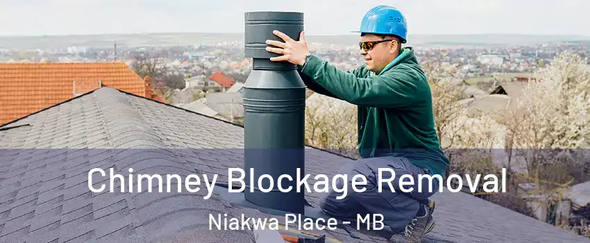  Chimney Blockage Removal Niakwa Place - MB
