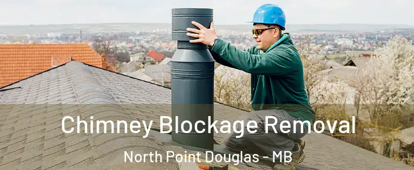  Chimney Blockage Removal North Point Douglas - MB