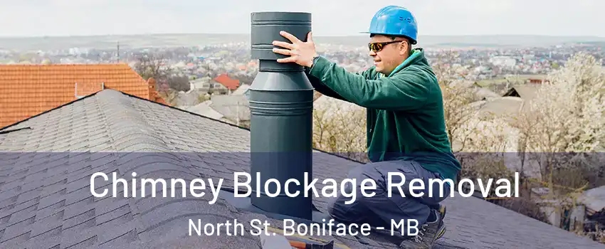  Chimney Blockage Removal North St. Boniface - MB