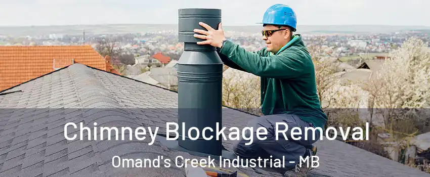  Chimney Blockage Removal Omand's Creek Industrial - MB