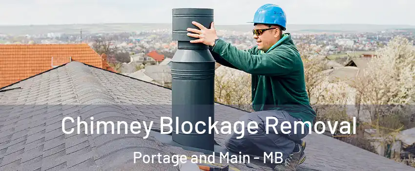  Chimney Blockage Removal Portage and Main - MB