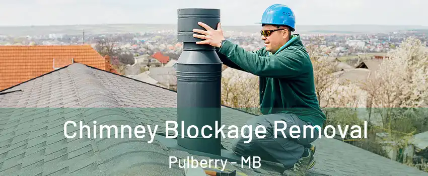  Chimney Blockage Removal Pulberry - MB