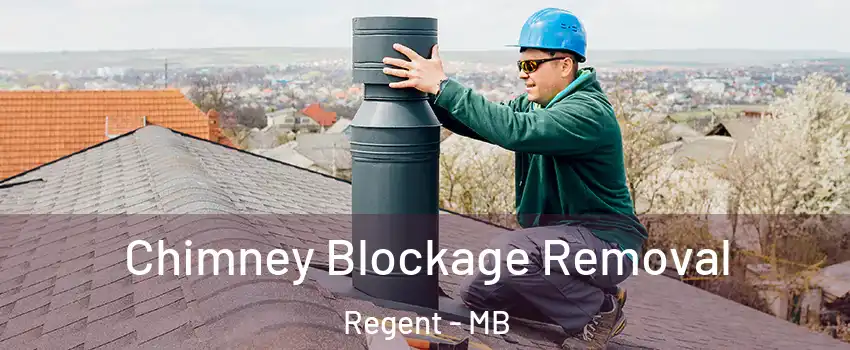  Chimney Blockage Removal Regent - MB
