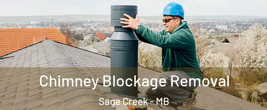  Chimney Blockage Removal Sage Creek - MB