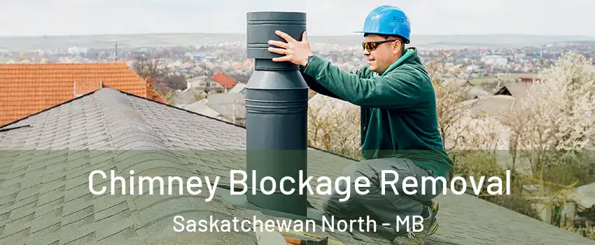  Chimney Blockage Removal Saskatchewan North - MB