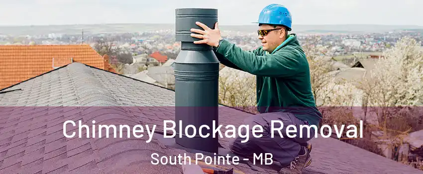  Chimney Blockage Removal South Pointe - MB