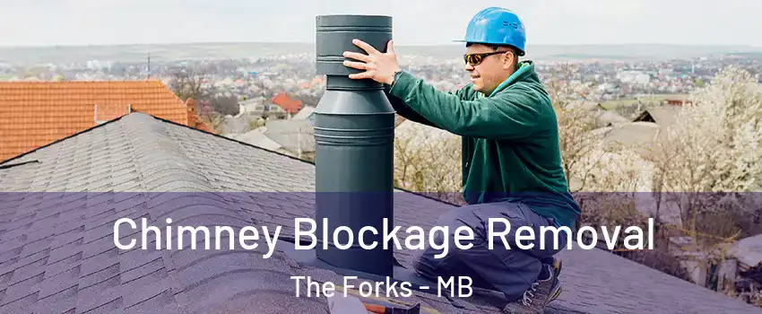  Chimney Blockage Removal The Forks - MB