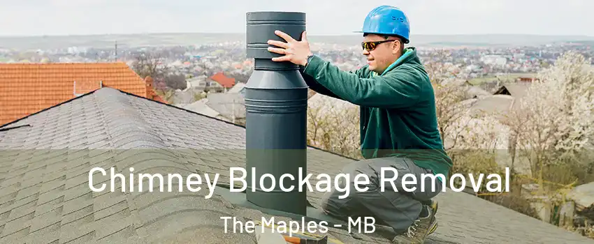  Chimney Blockage Removal The Maples - MB