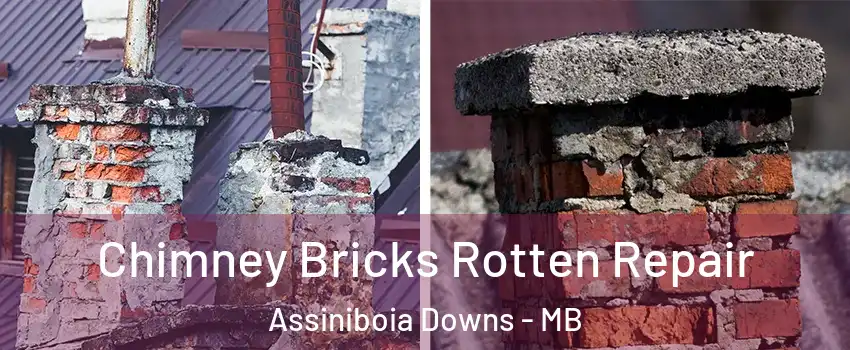  Chimney Bricks Rotten Repair Assiniboia Downs - MB