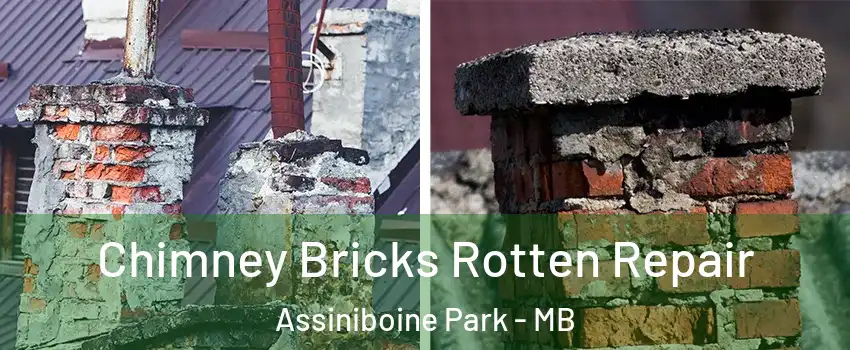  Chimney Bricks Rotten Repair Assiniboine Park - MB