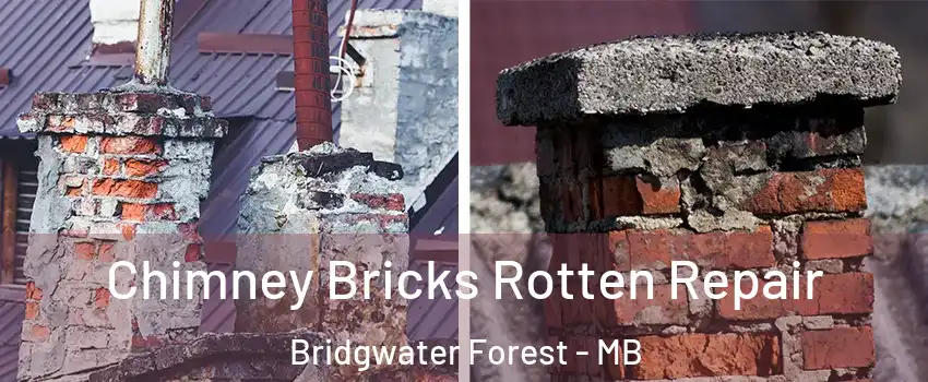  Chimney Bricks Rotten Repair Bridgwater Forest - MB
