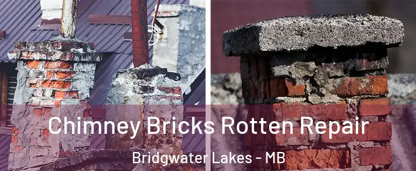  Chimney Bricks Rotten Repair Bridgwater Lakes - MB