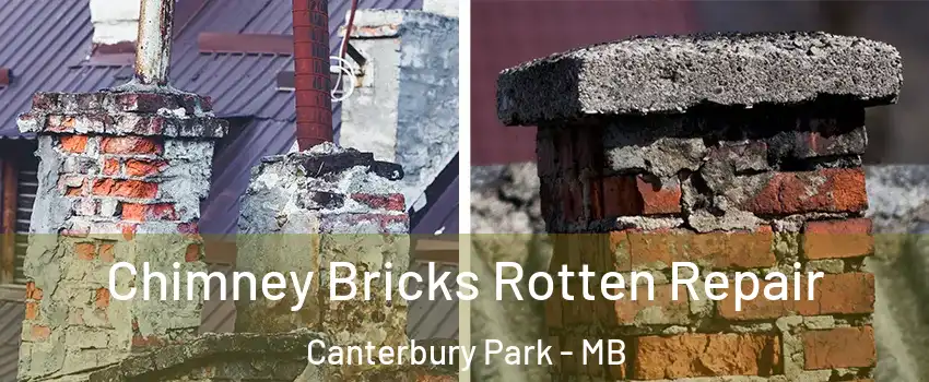  Chimney Bricks Rotten Repair Canterbury Park - MB
