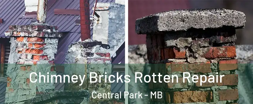  Chimney Bricks Rotten Repair Central Park - MB