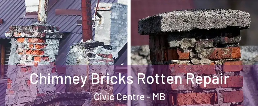  Chimney Bricks Rotten Repair Civic Centre - MB