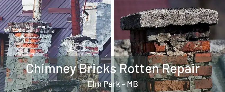  Chimney Bricks Rotten Repair Elm Park - MB
