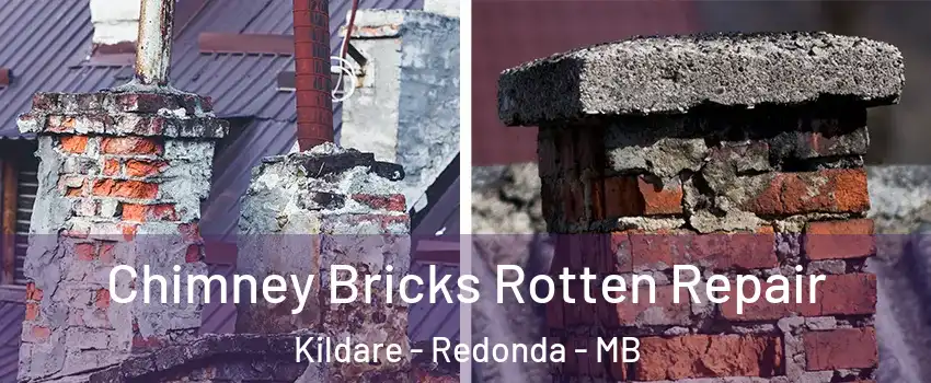  Chimney Bricks Rotten Repair Kildare - Redonda - MB