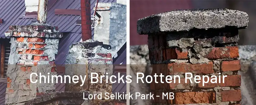  Chimney Bricks Rotten Repair Lord Selkirk Park - MB