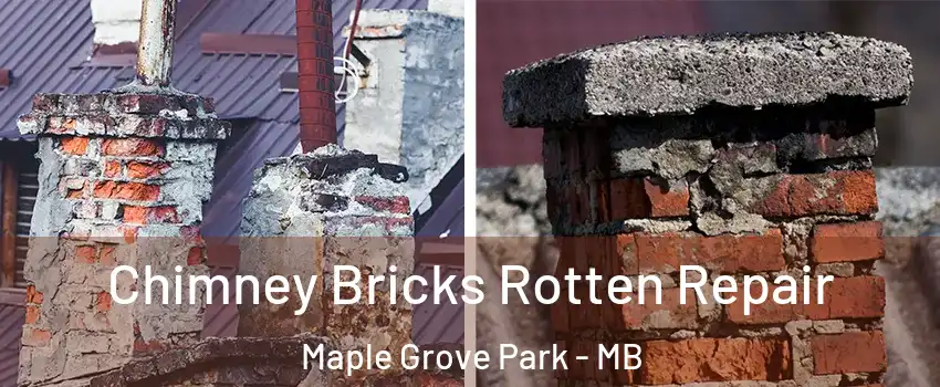  Chimney Bricks Rotten Repair Maple Grove Park - MB
