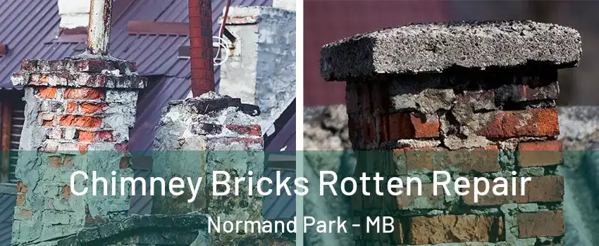  Chimney Bricks Rotten Repair Normand Park - MB
