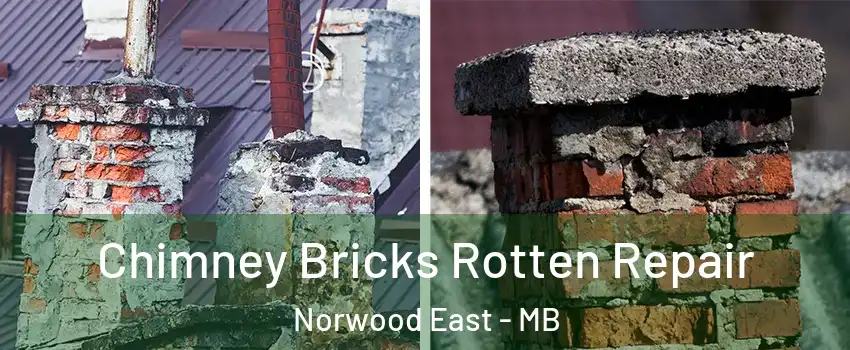  Chimney Bricks Rotten Repair Norwood East - MB
