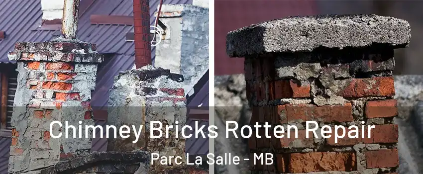  Chimney Bricks Rotten Repair Parc La Salle - MB